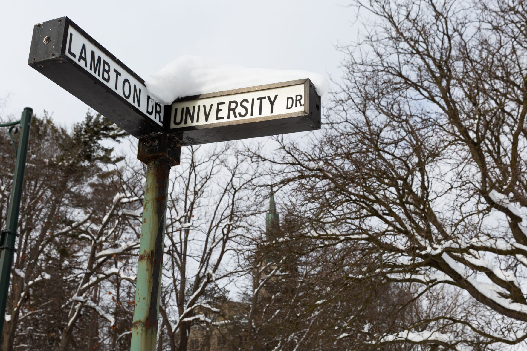 Campus Photo (1)